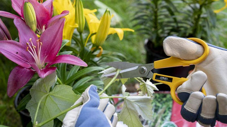 OLFA 9766, 7" Stainless Steel Serrated Edge Scissors (SCS-2)