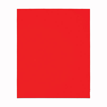 Diablo DCS911220S04G, 9 x 11" Sanding Sheet 220-Grit (4/pkg)