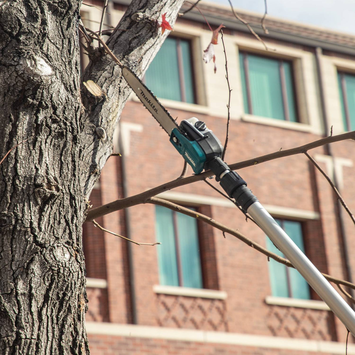 Makita DUA251Z, 36V(18Vx2)LXT Brushless Cordless 10" Telescopic Pole Chainsaw w/XPT (Tool Only)